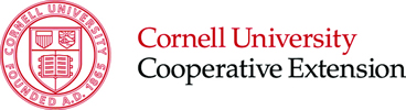 Cornell color logo