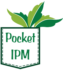 Pocket ipm logo